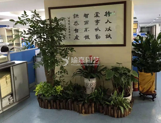 �������ֲ��